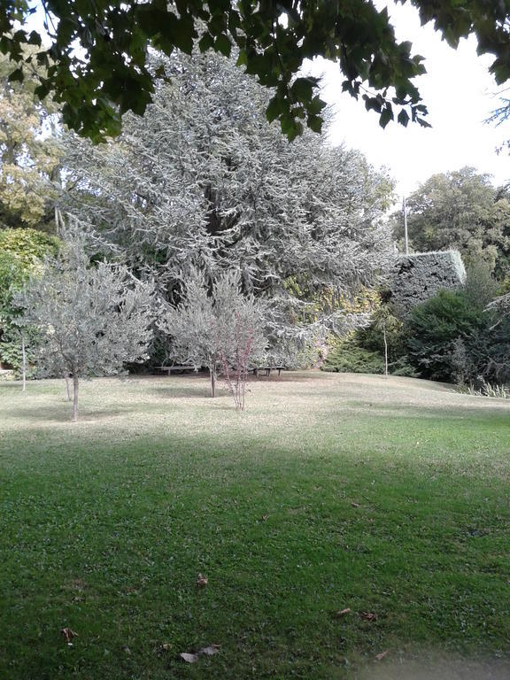 Le Chateau Des Estubiers Acomodação com café da manhã Sérignan-du-Comtat Exterior foto